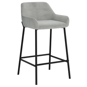 Baily 26’’ Counter Stool set of 2 in Grey Price shown for 