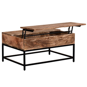Ojas Lift-Top Coffee Table in Natural Burnt